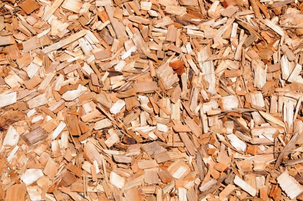 Cypress Mulch Spreading in San Rafael