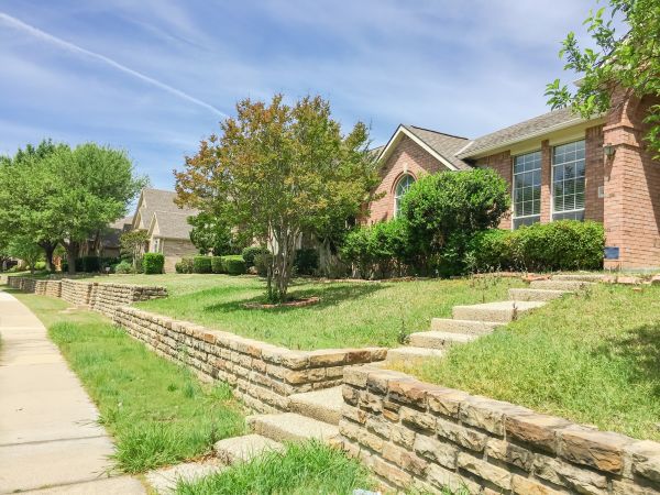 Sloped Yard Landscaping in San Rafael