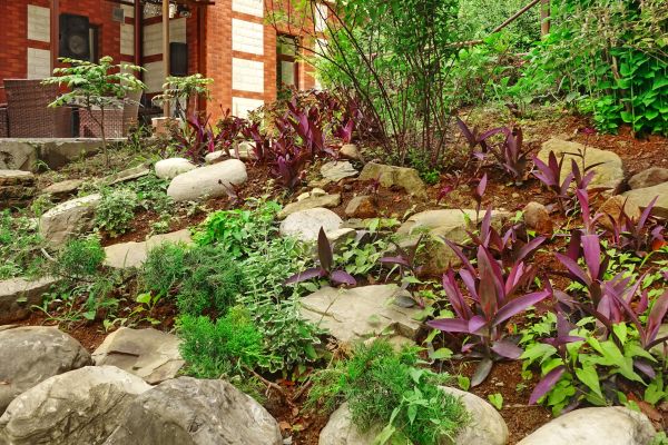 Rock Garden Landscaping in San Rafael