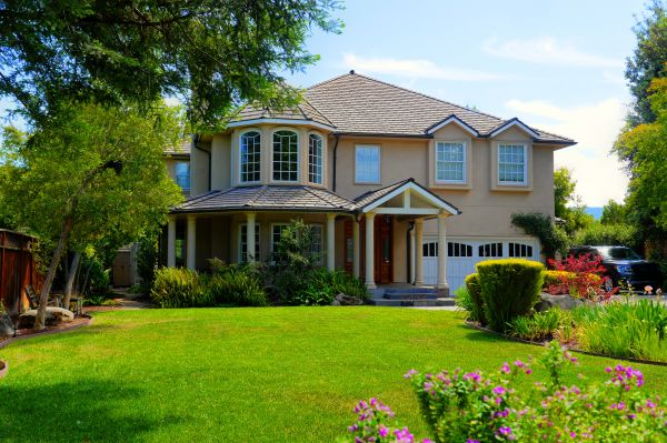 Large Yard Landscaping in San Rafael