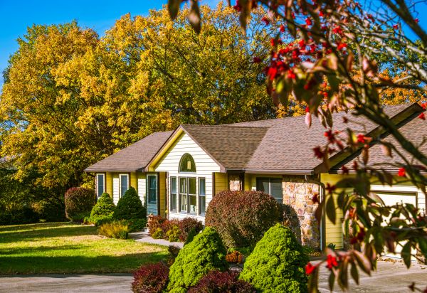 Ranch Landscaping in San Rafael