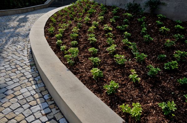 Commercial Mulching in San Rafael
