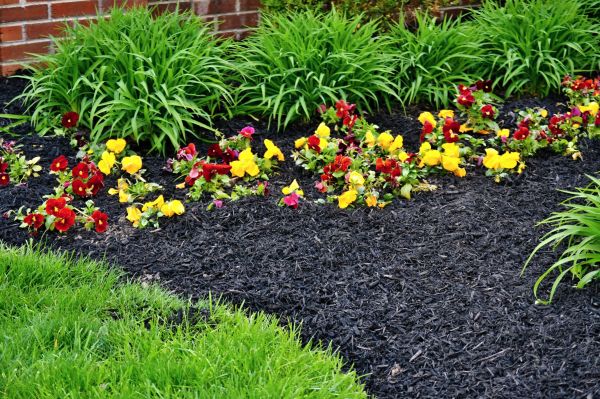 Apartment Mulching in San Rafael