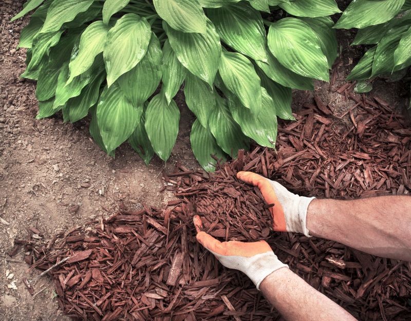 Shredded Mulch Installation