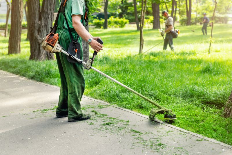 Lawn Maintenance Services